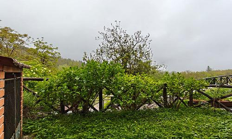 Cielo-Terra Con Giar...