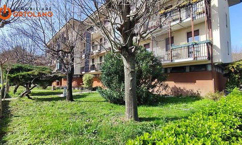Appartamento - Monfa...