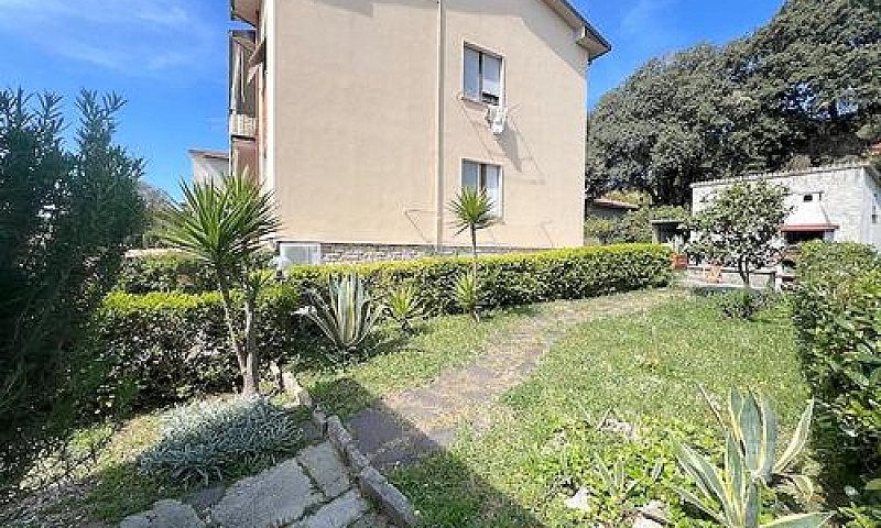 Castiglioncello, Con...