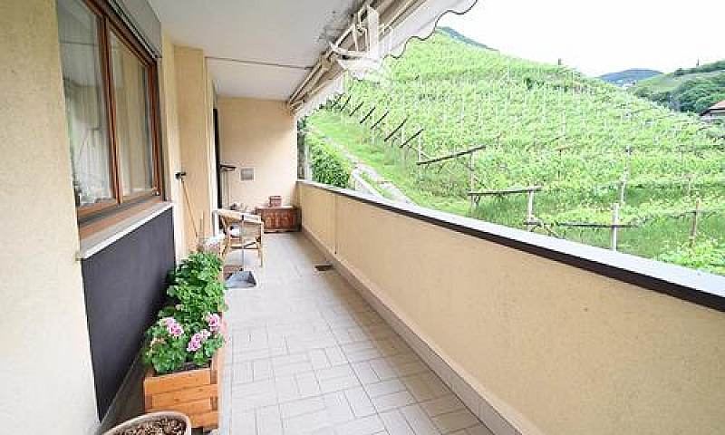Bolzano - Via San Os...
