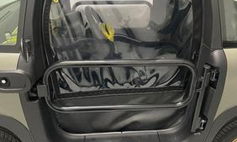 Citroen Ami Buggy...