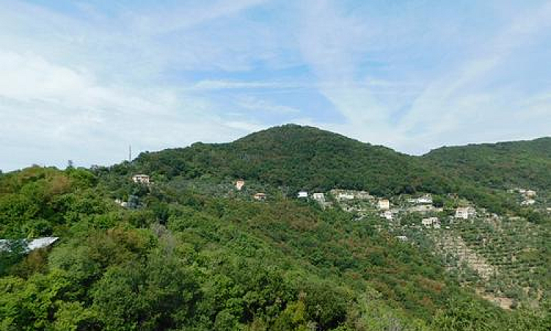 Camogli Collina Vend...