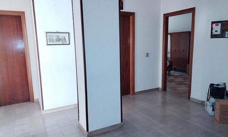 Ampio Appartamento +...