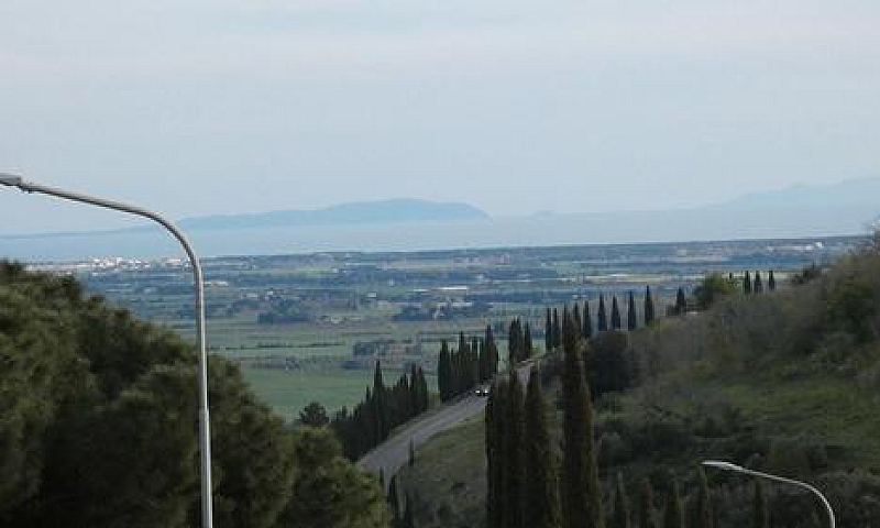 Rosignano M.mo:quatt...