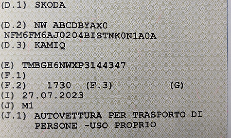 Skoda Kamiq Style...