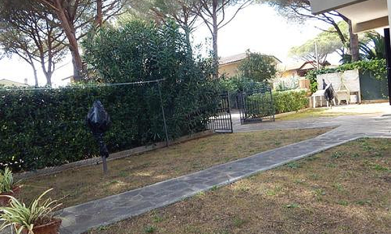 M102-M.castagneto-Am...