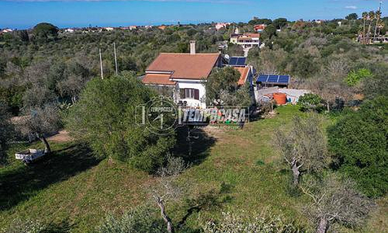 Casa Indipendente Vi...