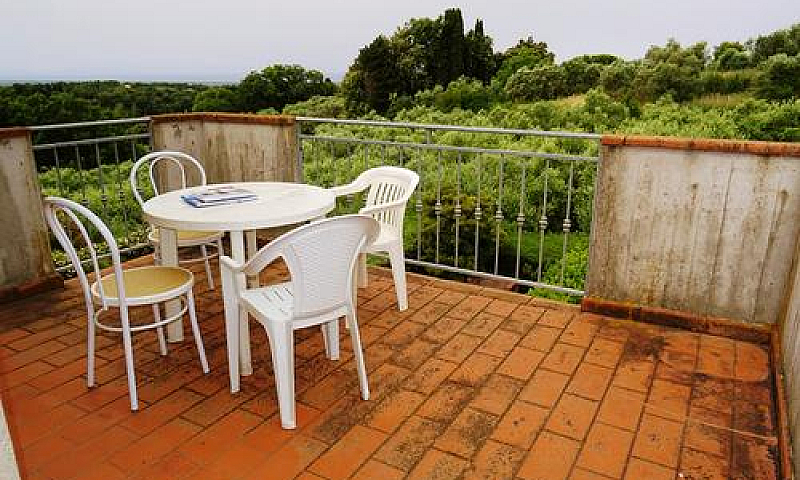 Guardistallo, Vista ...