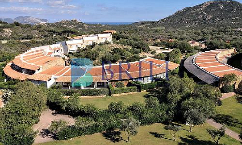 Capo Ceraso - Triloc...