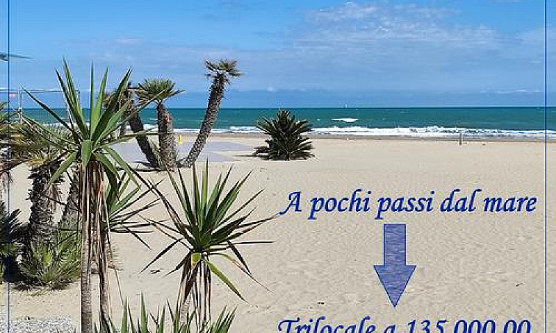 Tortoreto Lido: Rif....