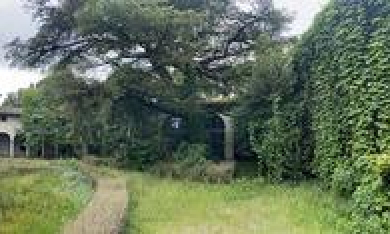 Villa Storica 