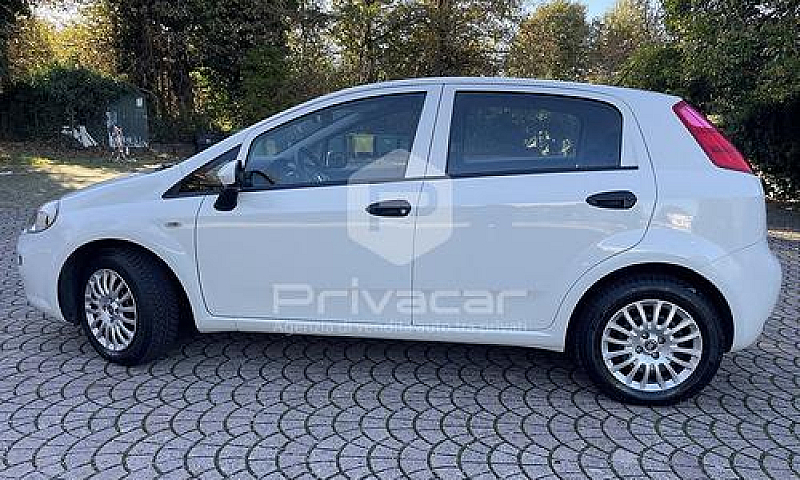 Fiat Punto 1.2 8V 5 ...