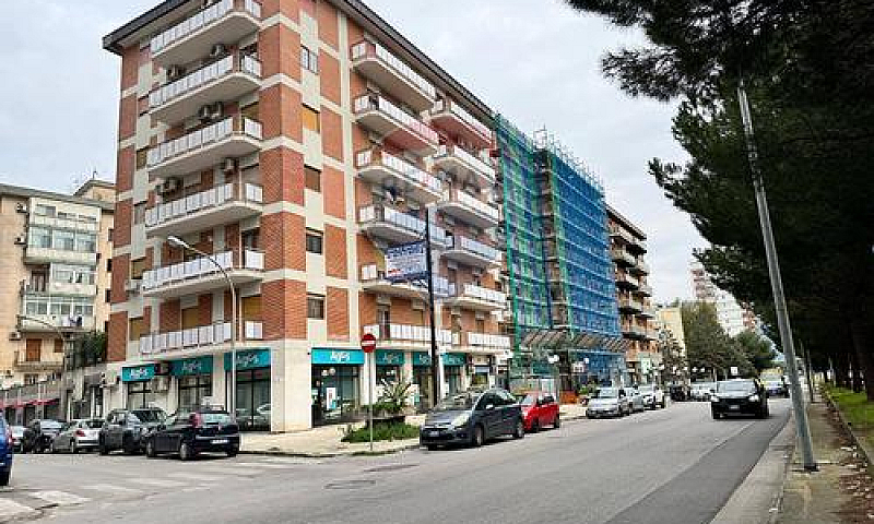 Appartamento - Paler...