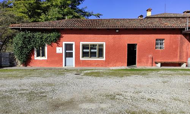 Rustico A Tricesimo...