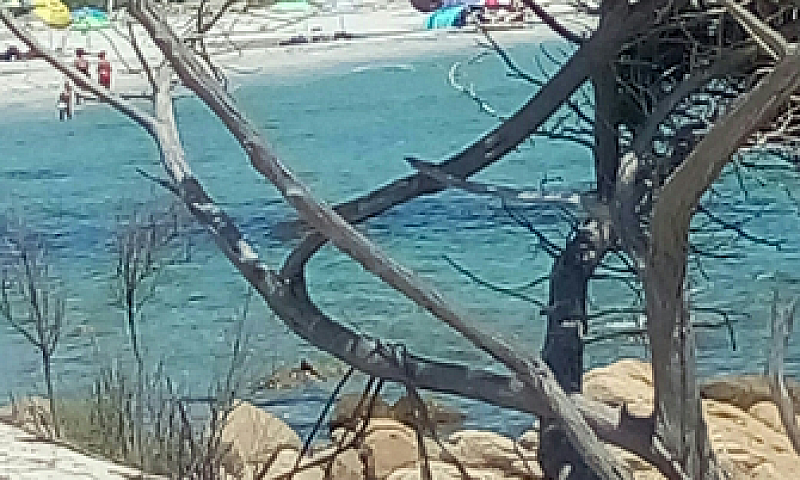 Oasi Di Capo Comino ...