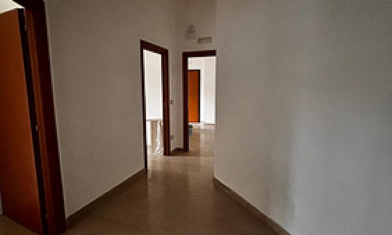 Zona Macchia Gialla...