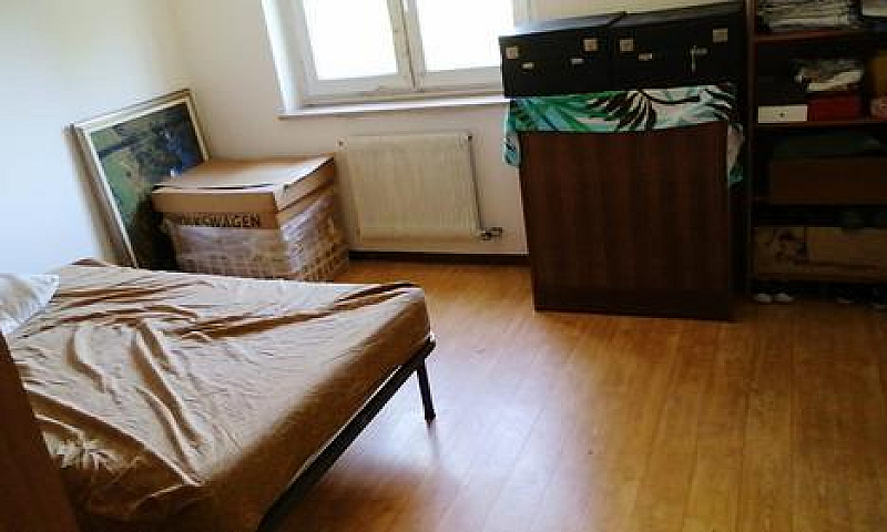 Stracis Casa...