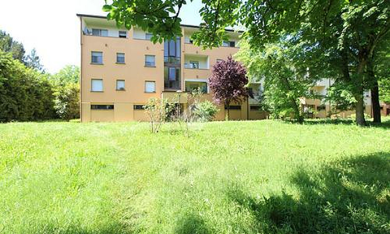 3 Locali A Galliera...