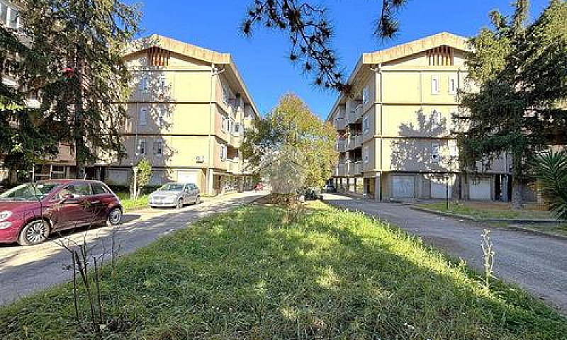 3 Locali A Viterbo...