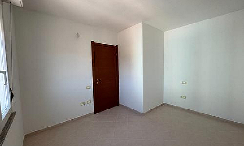 Pari Al Nuovo, Triva...