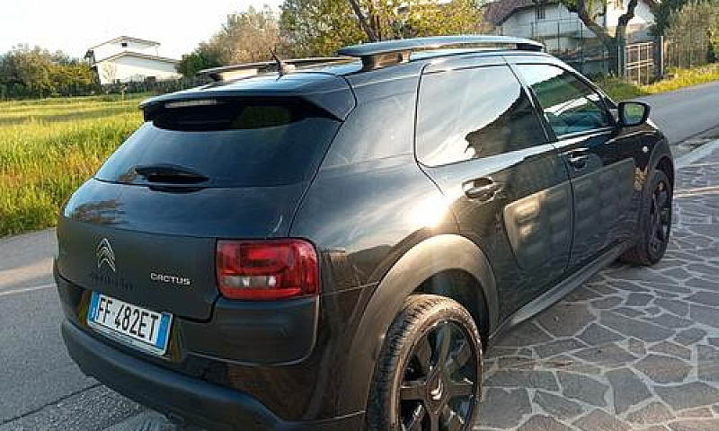 C4 Cactus Unipro Km ...