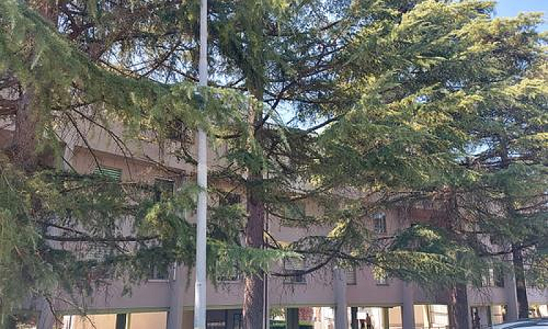 Pesaro Attico Autono...