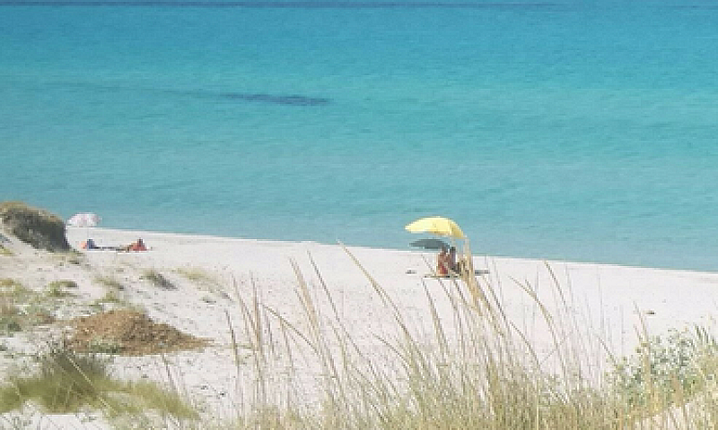 Oasi Di Capo Comino ...