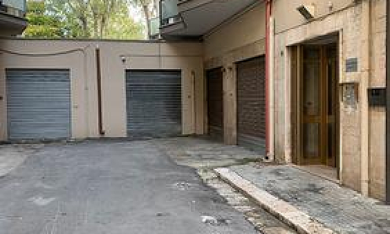 5 Vani Con Box Rione...