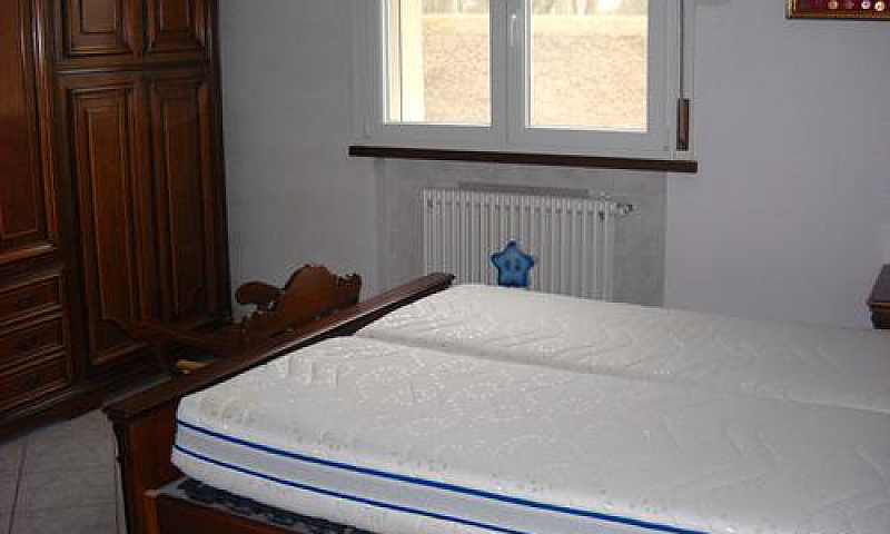 Lentigione - Quadril...