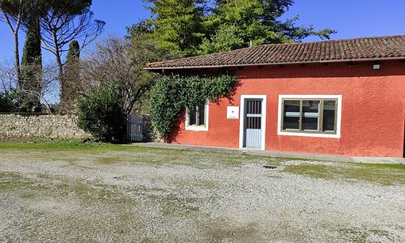 Rustico A Tricesimo...