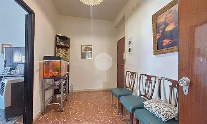 5 Locali A Viterbo...