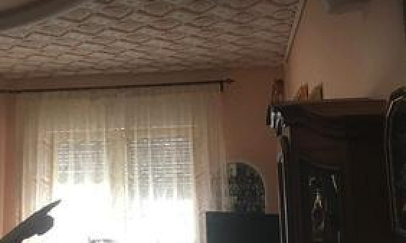 Zona Bonagia Comodo ...