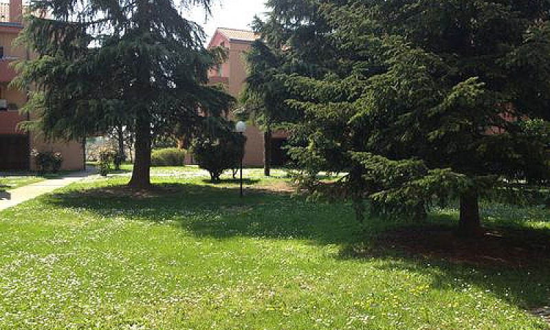 Appartamento A Rendi...
