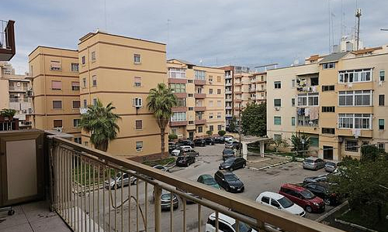 Quadrivani - Via Dan...