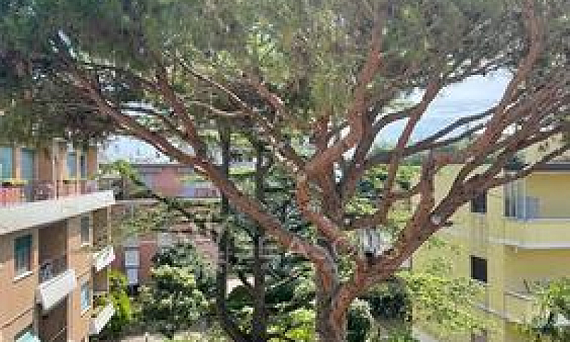 Appartamento - Venez...