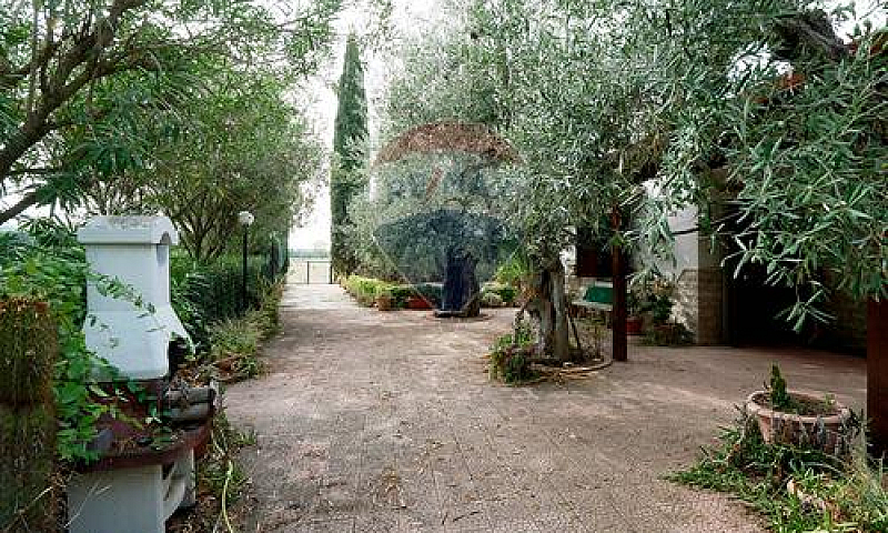 Appartamento - Barle...