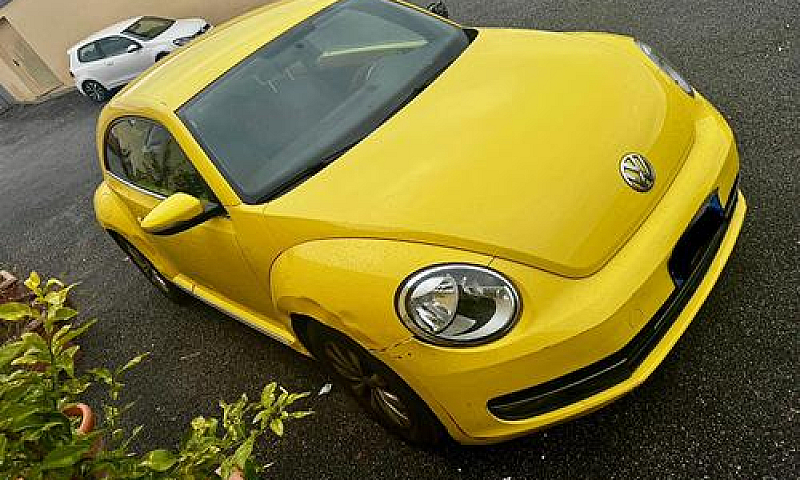Volkswagen Beetle Ma...