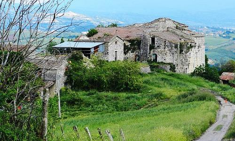 Intero Stabile - Pag...