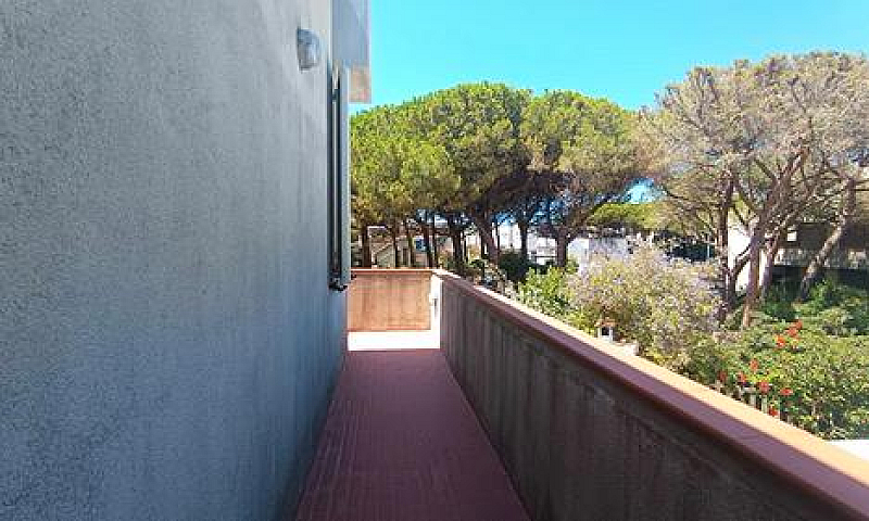Trilocale A Platamon...