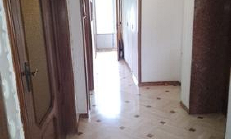 Via Oberdan Bivani A...