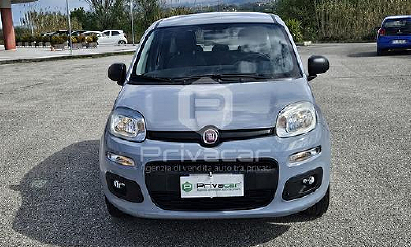 Fiat Panda 1.2 Easy...