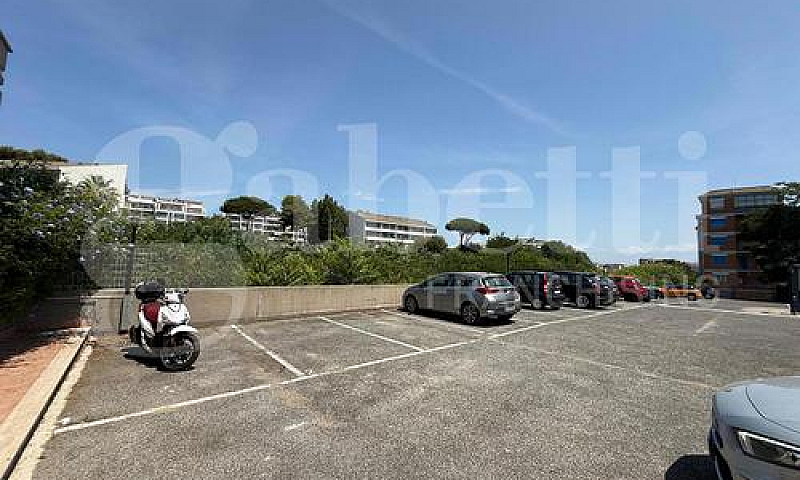 Appartamento Nettuno...