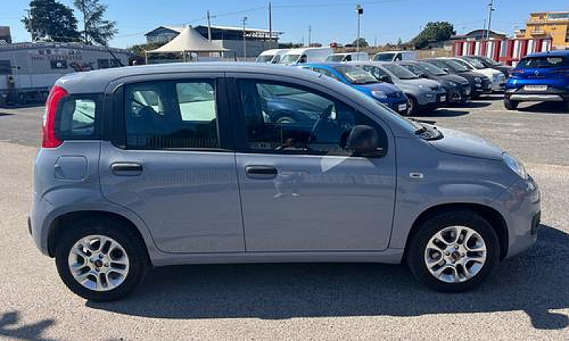 Fiat Panda 1.2 Easy ...