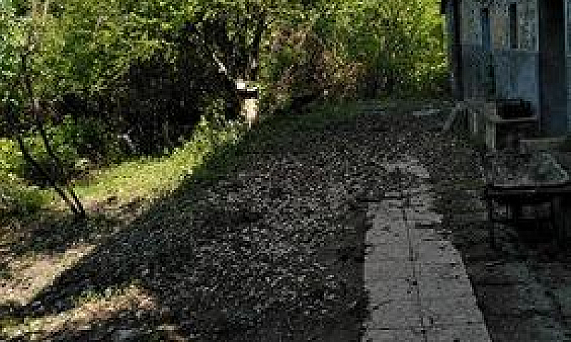 Casale/Cascina Si Pe...