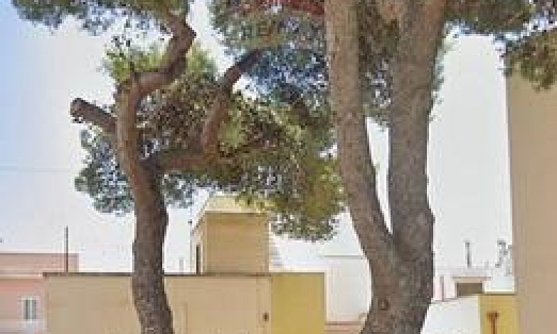 Appartamento - Nardò...