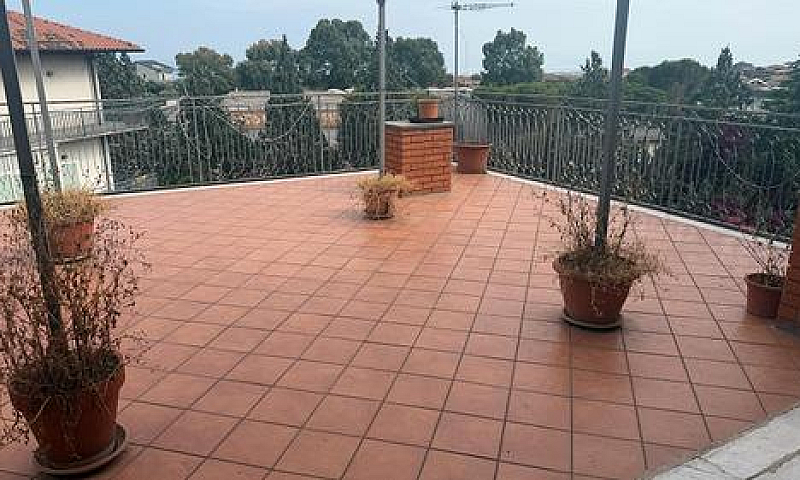 5 Vani Zona Centro C...
