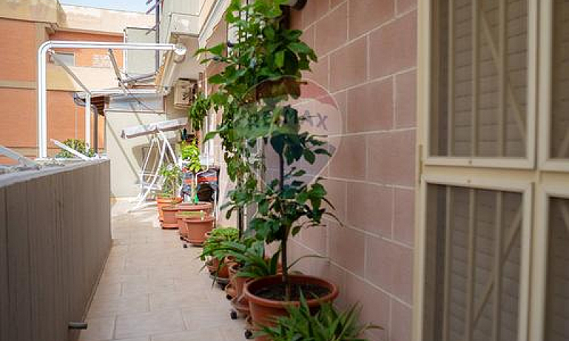 Appartamento - Trigg...