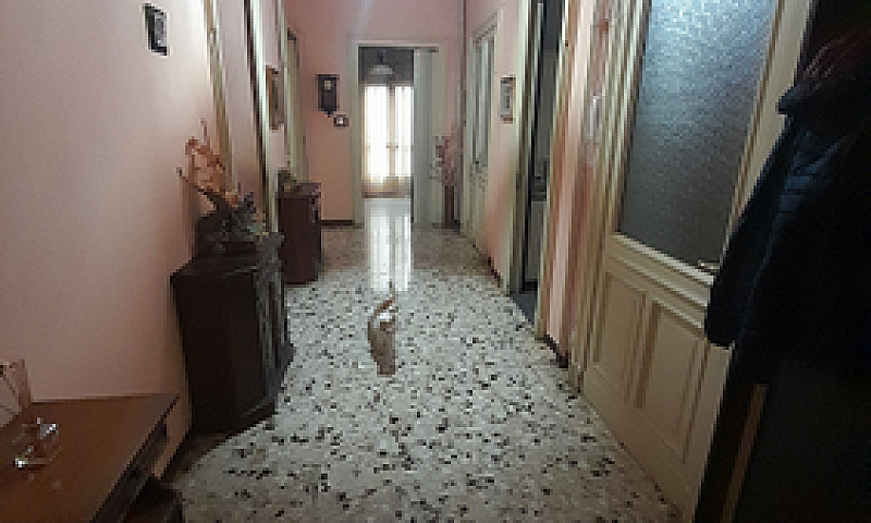 Vendo Casa Vicinanze...