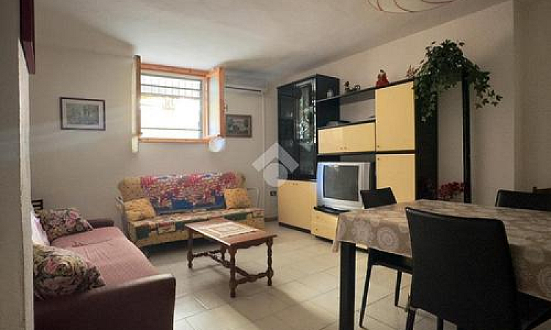Trilocale C/2, Viale...