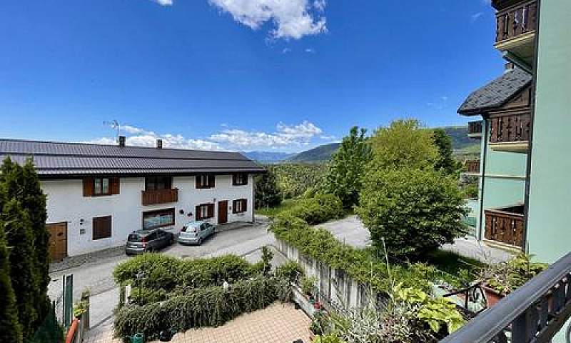 Duplex Roana [Cod. R...